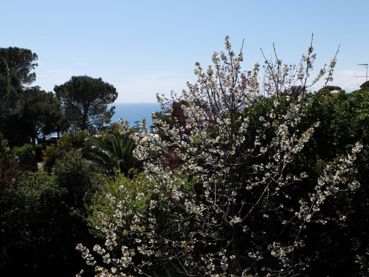 B&B Verde Sul Mare Arenzano Ngoại thất bức ảnh
